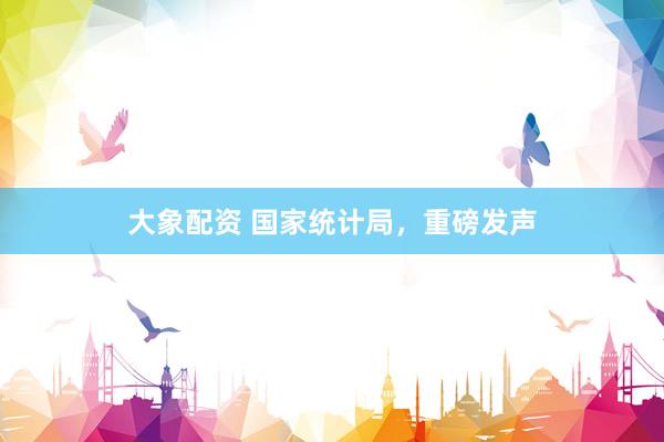 大象配资 国家统计局，重磅发声