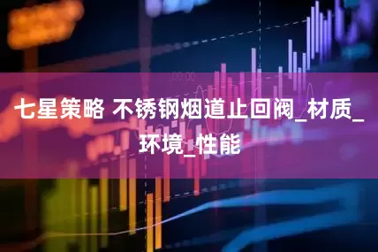 七星策略 不锈钢烟道止回阀_材质_环境_性能